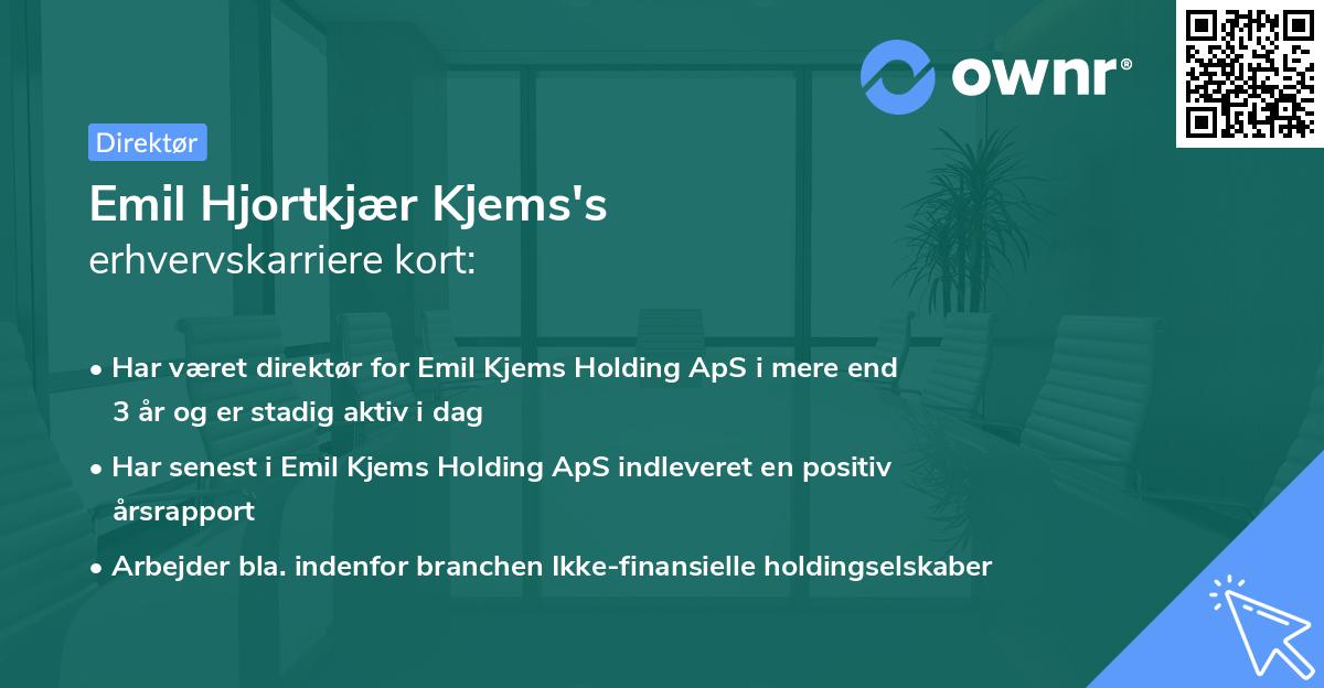 Emil Hjortkjær Kjems's erhvervskarriere kort