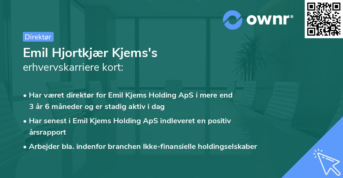 Emil Hjortkjær Kjems's erhvervskarriere kort