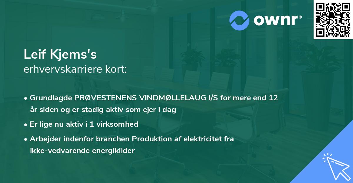 Leif Kjems's erhvervskarriere kort