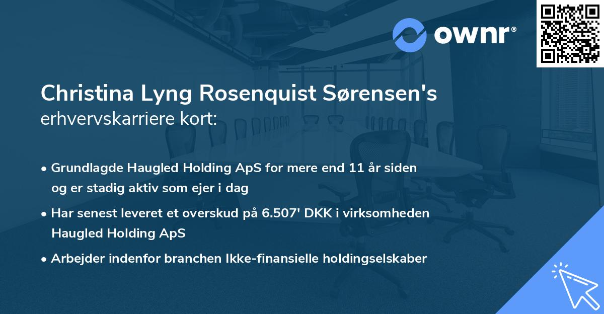 Christina Lyng Rosenquist Sørensen's erhvervskarriere kort