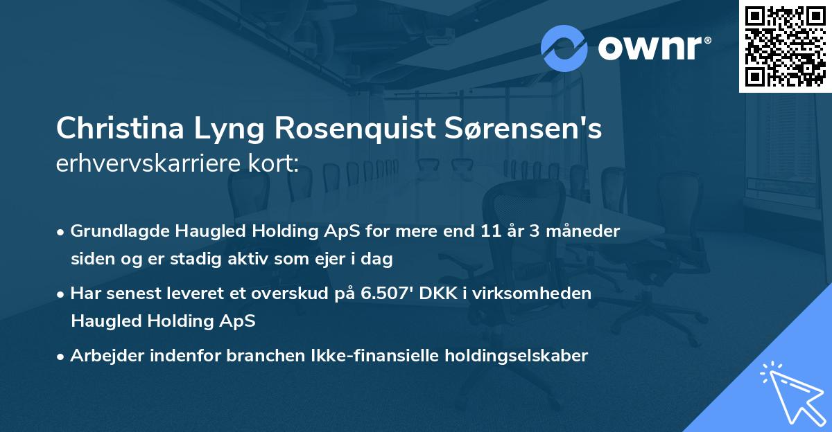 Christina Lyng Rosenquist Sørensen's erhvervskarriere kort