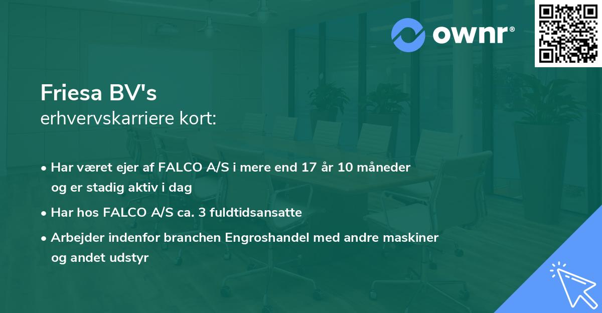 Friesa BV's erhvervskarriere kort