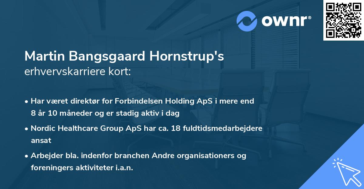 Martin Bangsgaard Hornstrup's erhvervskarriere kort