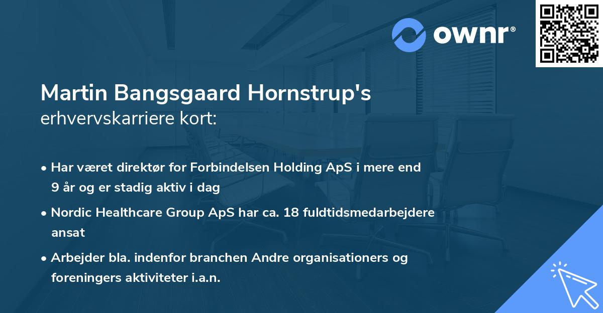 Martin Bangsgaard Hornstrup's erhvervskarriere kort