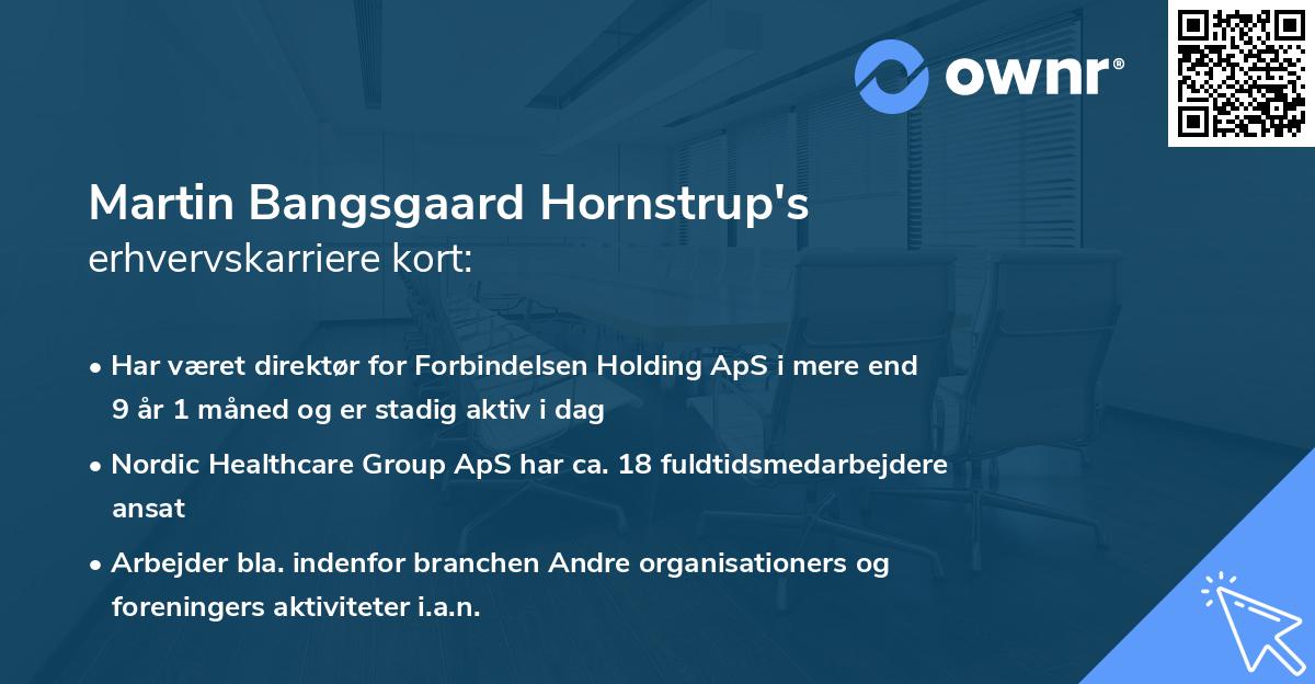 Martin Bangsgaard Hornstrup's erhvervskarriere kort