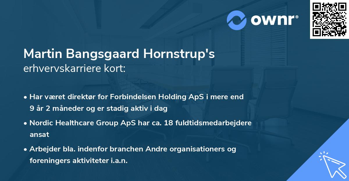 Martin Bangsgaard Hornstrup's erhvervskarriere kort