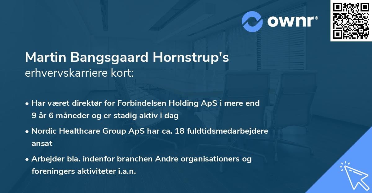 Martin Bangsgaard Hornstrup's erhvervskarriere kort