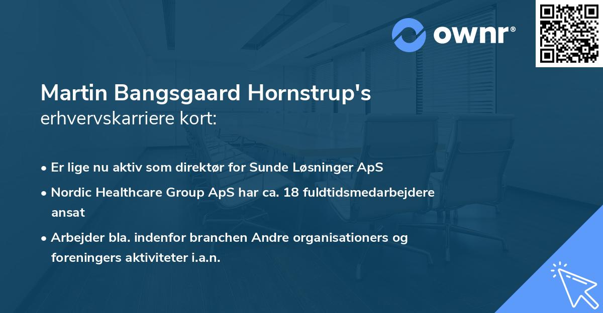Martin Bangsgaard Hornstrup's erhvervskarriere kort