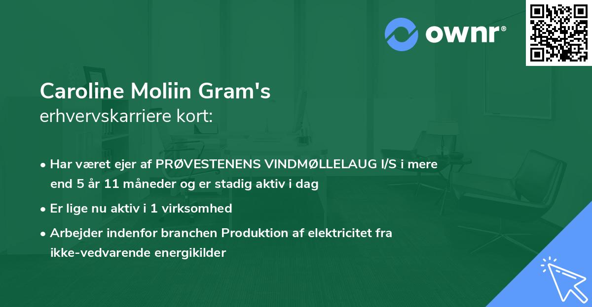 Caroline Moliin Gram's erhvervskarriere kort