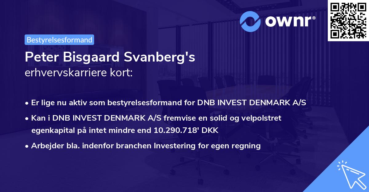Peter Bisgaard Svanberg's erhvervskarriere kort