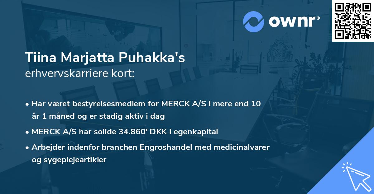 Tiina Marjatta Puhakka's erhvervskarriere kort