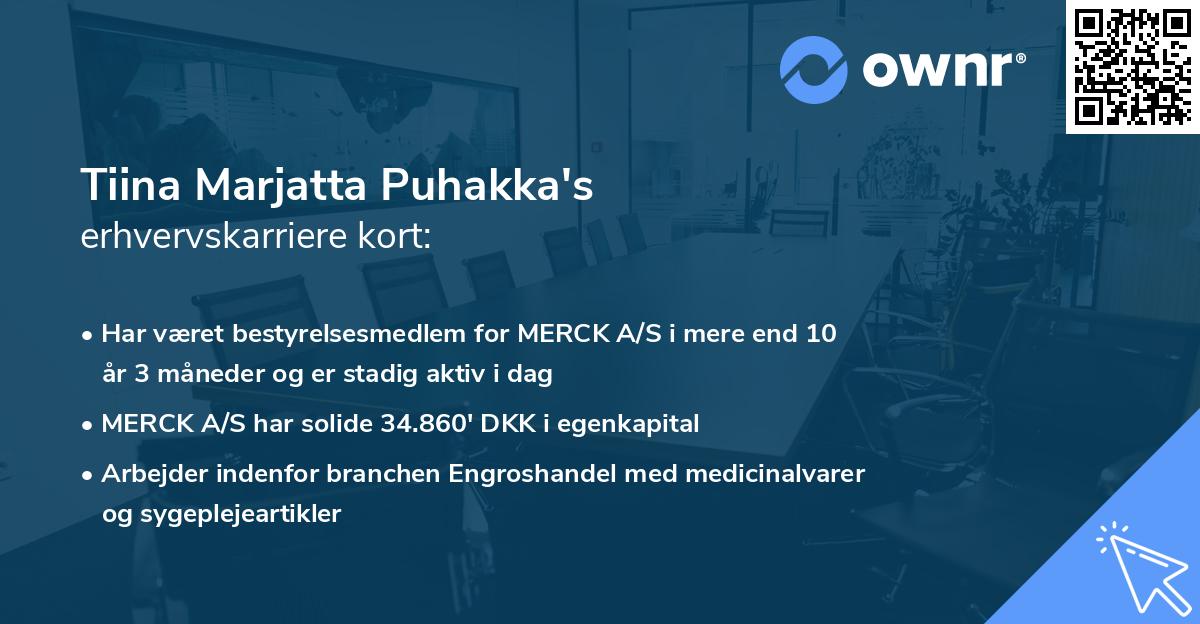 Tiina Marjatta Puhakka's erhvervskarriere kort