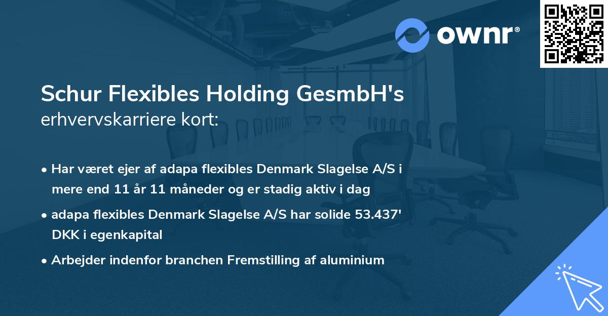 Schur Flexibles Holding GesmbH's erhvervskarriere kort
