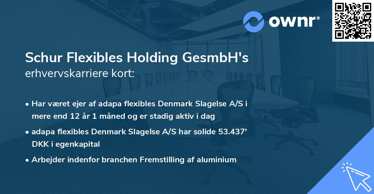 Schur Flexibles Holding GesmbH's erhvervskarriere kort