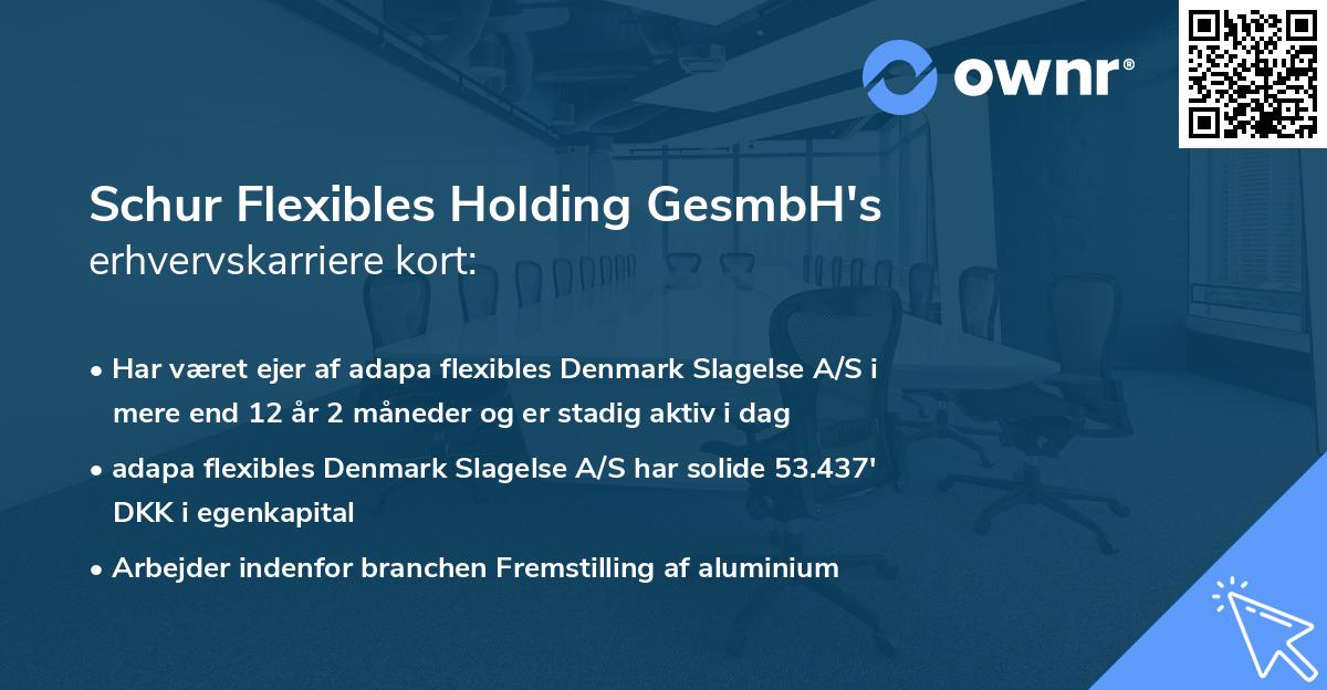 Schur Flexibles Holding GesmbH's erhvervskarriere kort
