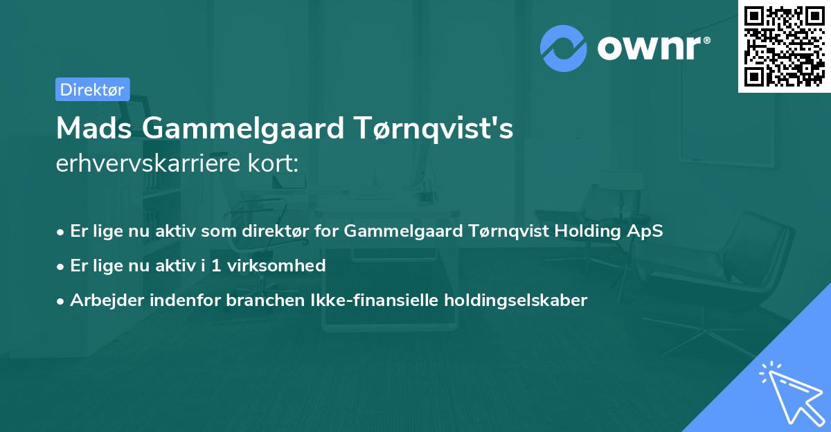 Mads Gammelgaard Tørnqvist's erhvervskarriere kort