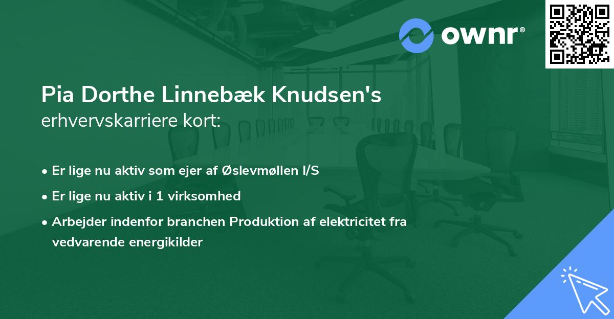 Pia Dorthe Linnebæk Knudsen's erhvervskarriere kort