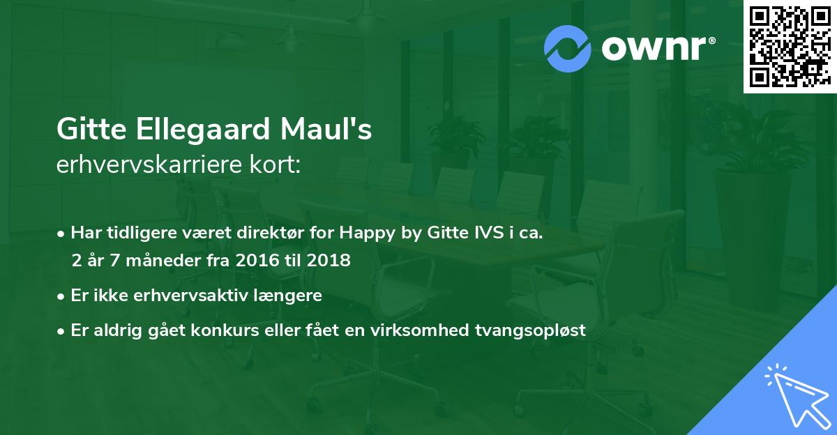 Gitte Ellegaard Maul's erhvervskarriere kort