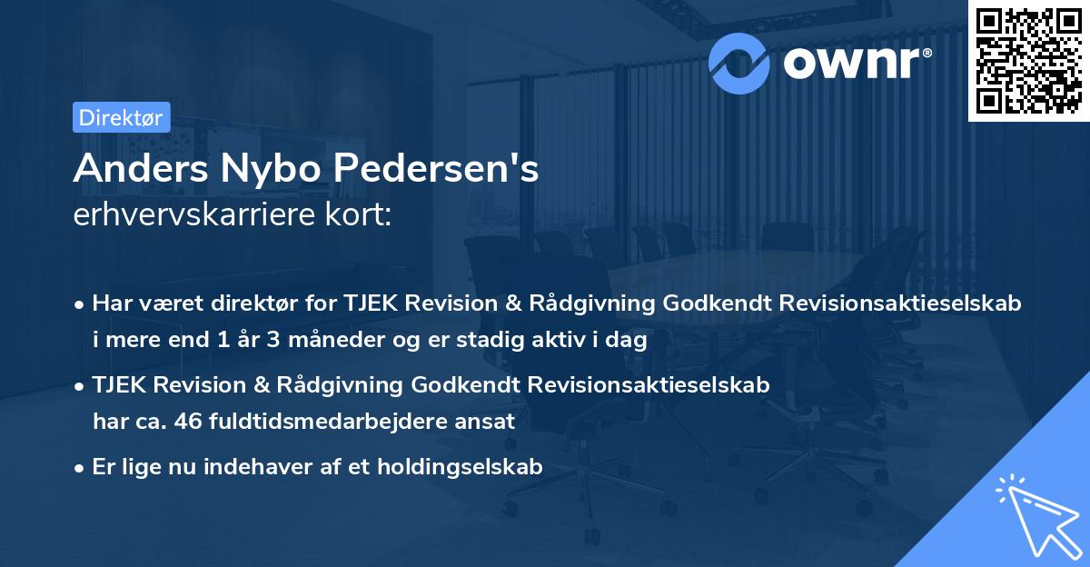 Anders Nybo Pedersen's erhvervskarriere kort