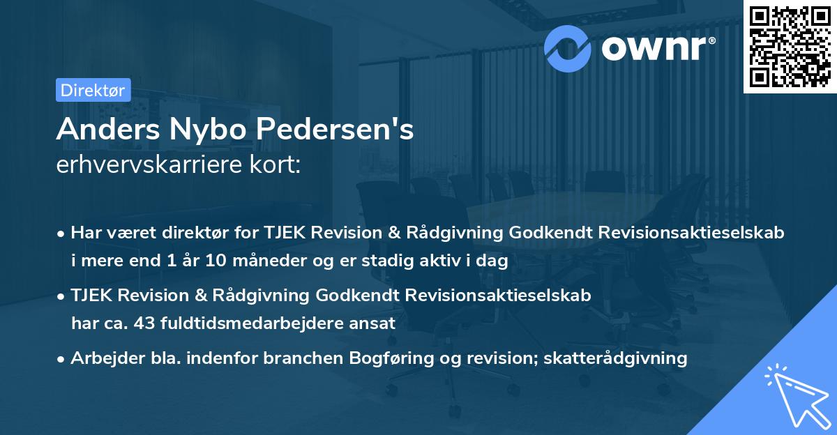 Anders Nybo Pedersen's erhvervskarriere kort