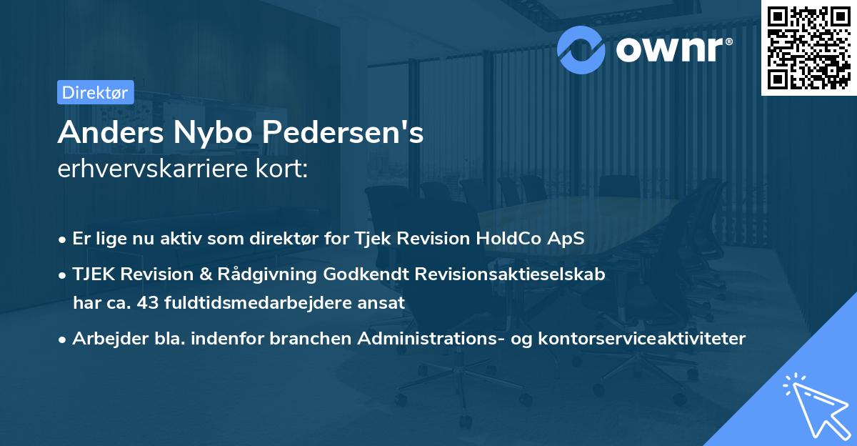 Anders Nybo Pedersen's erhvervskarriere kort