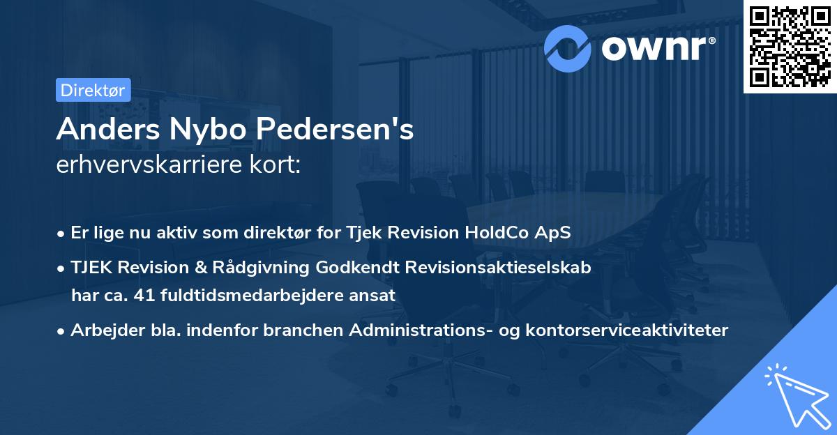 Anders Nybo Pedersen's erhvervskarriere kort