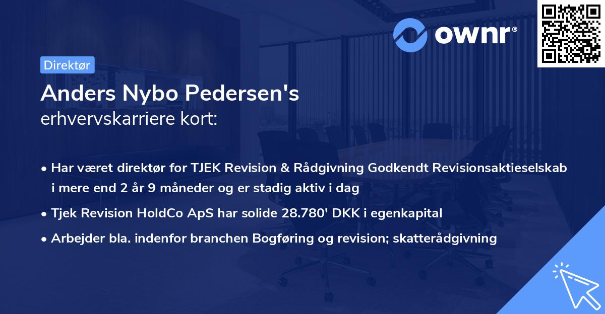 Anders Nybo Pedersen's erhvervskarriere kort