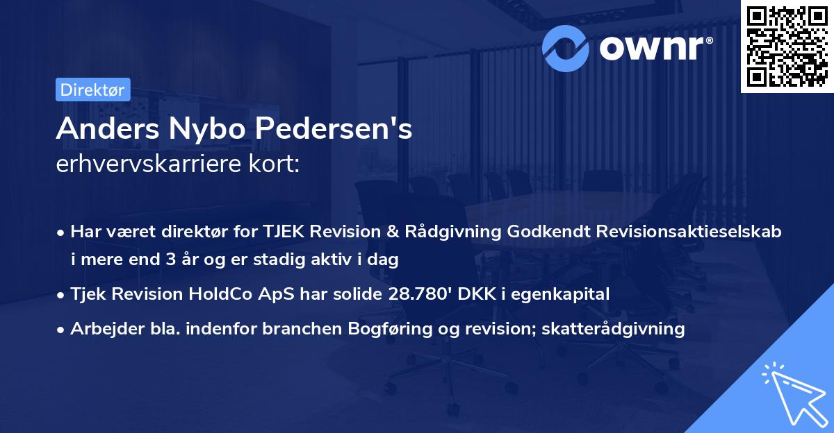 Anders Nybo Pedersen's erhvervskarriere kort