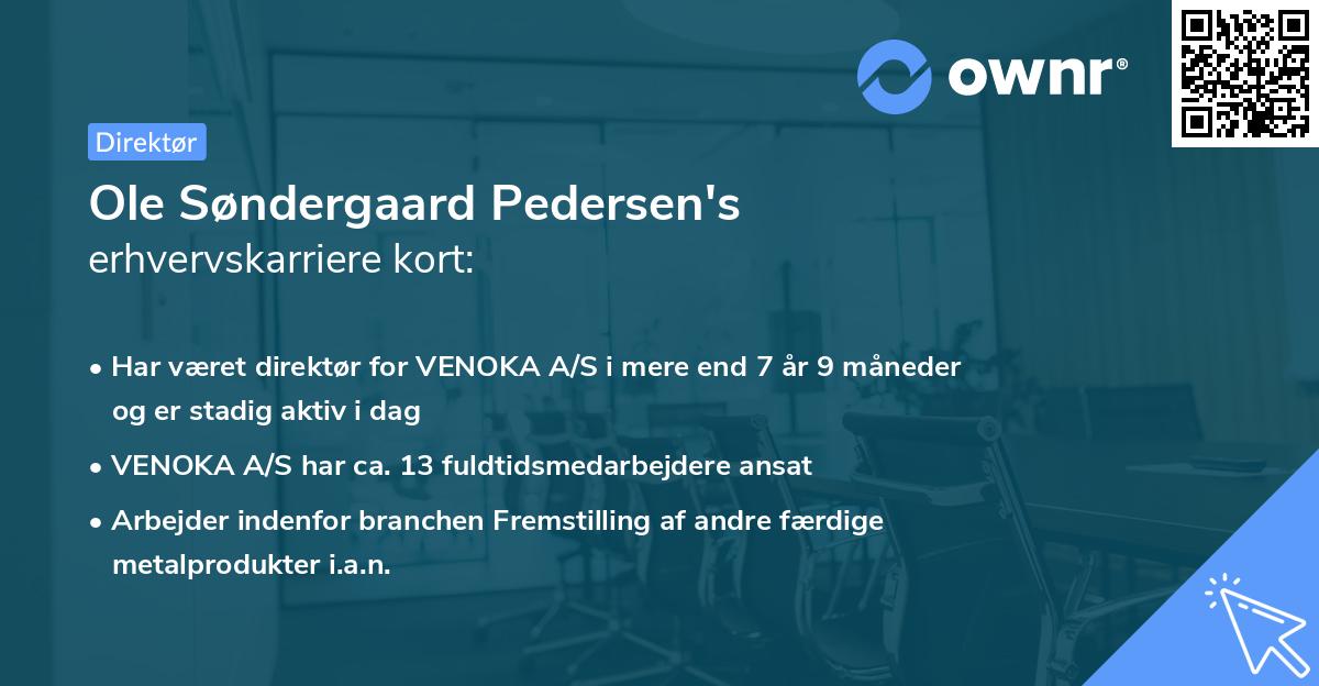 Ole Søndergaard Pedersen's erhvervskarriere kort
