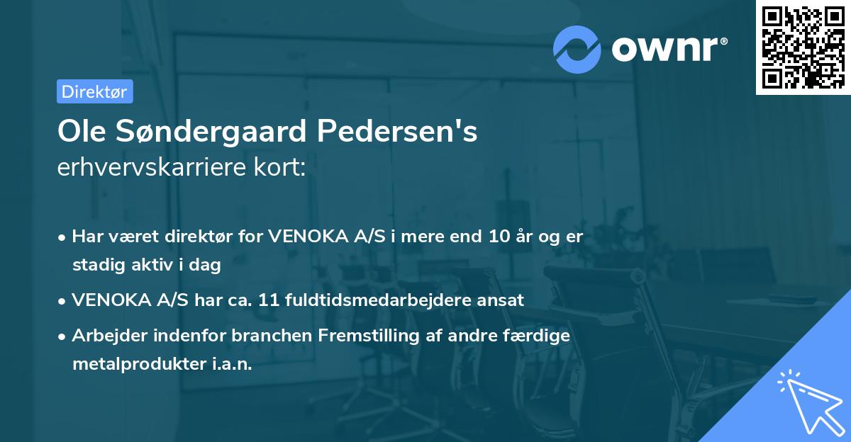 Ole Søndergaard Pedersen's erhvervskarriere kort