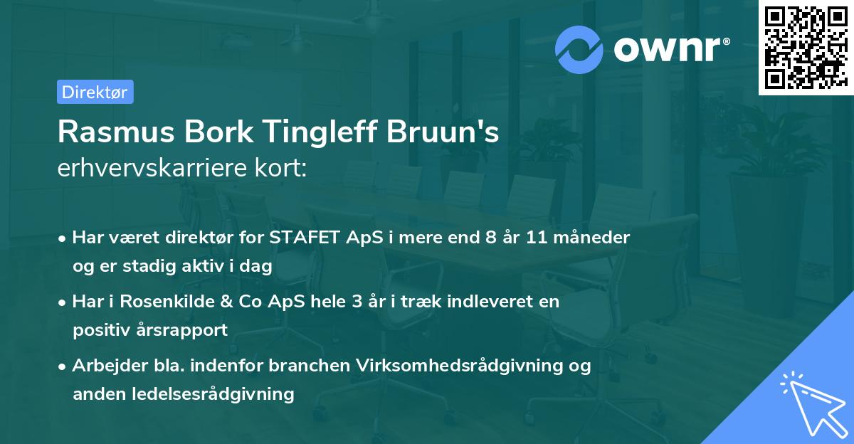 Rasmus Bork Tingleff Bruun's erhvervskarriere kort