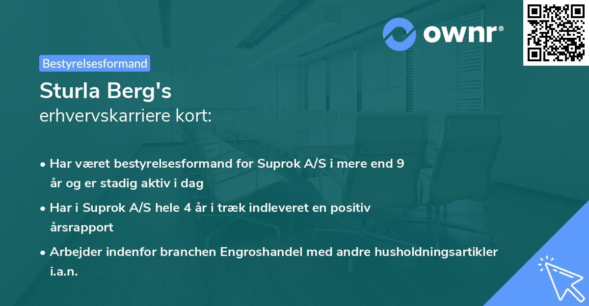 Sturla Berg's erhvervskarriere kort