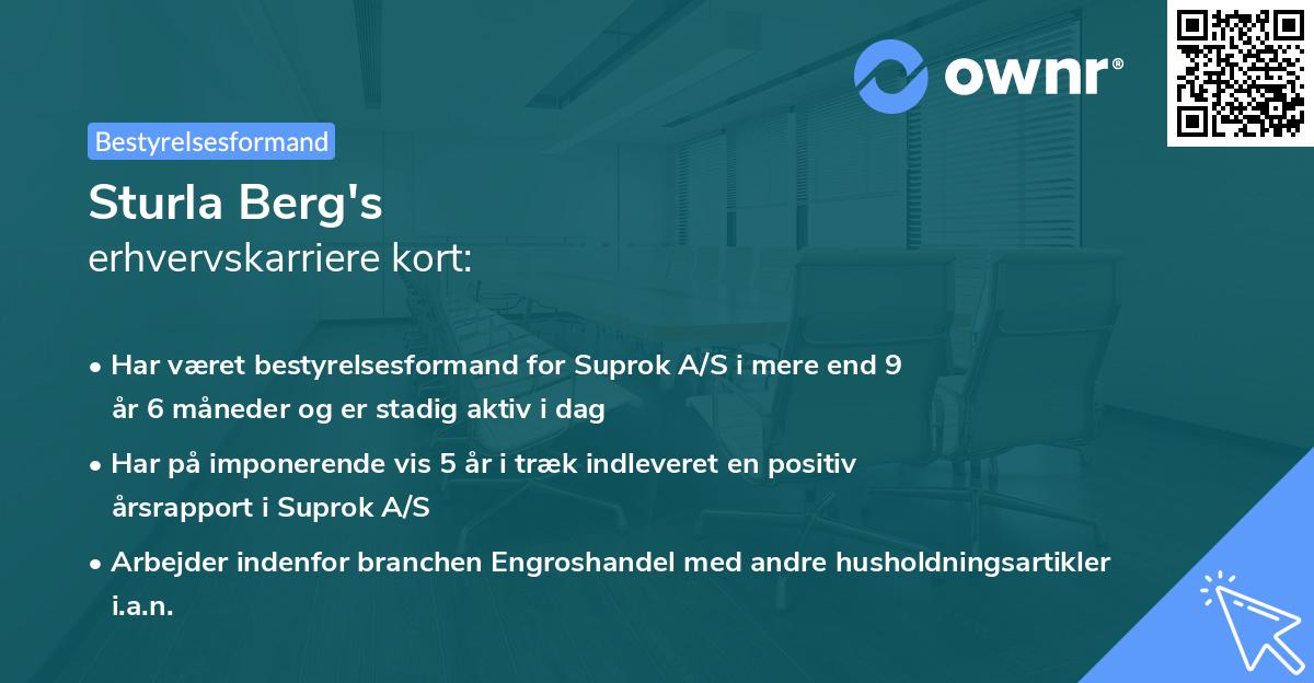 Sturla Berg's erhvervskarriere kort