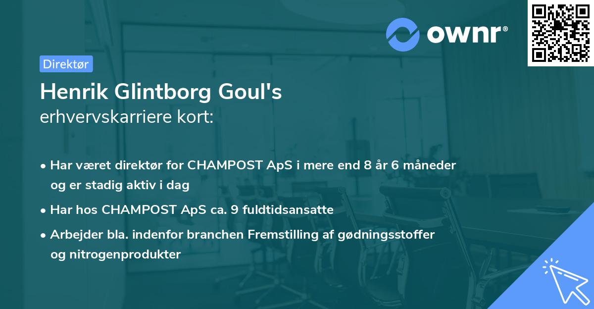 Henrik Glintborg Goul's erhvervskarriere kort