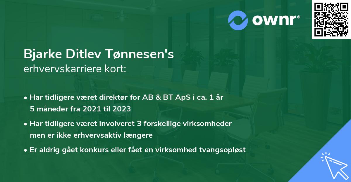Bjarke Ditlev Tønnesen's erhvervskarriere kort