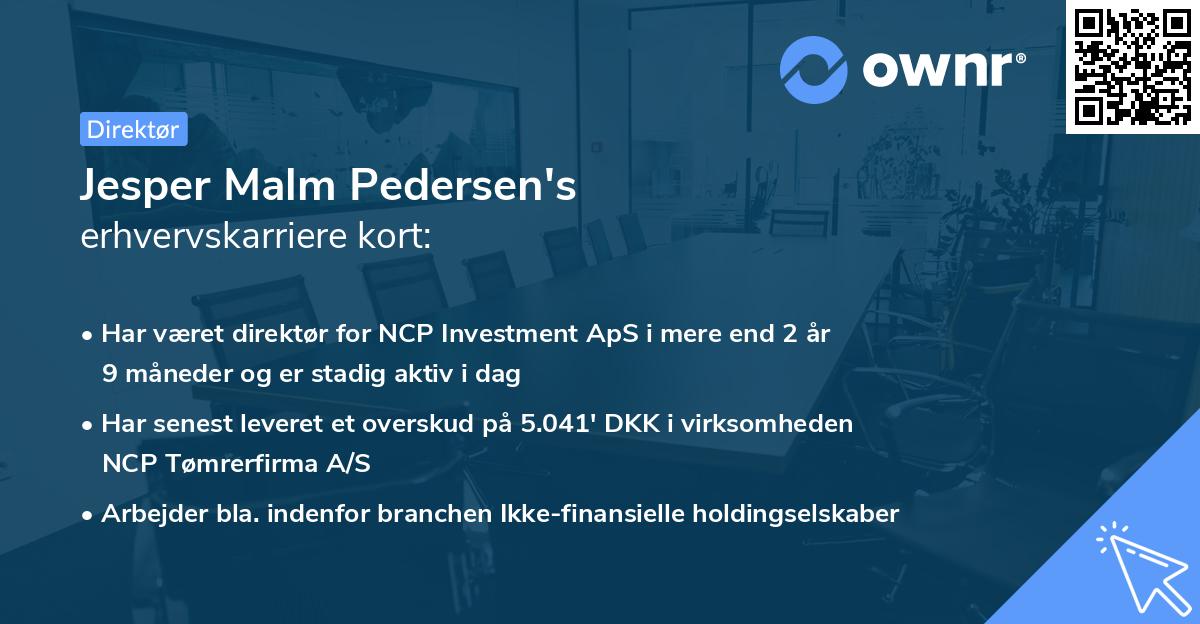 Jesper Malm Pedersen's erhvervskarriere kort