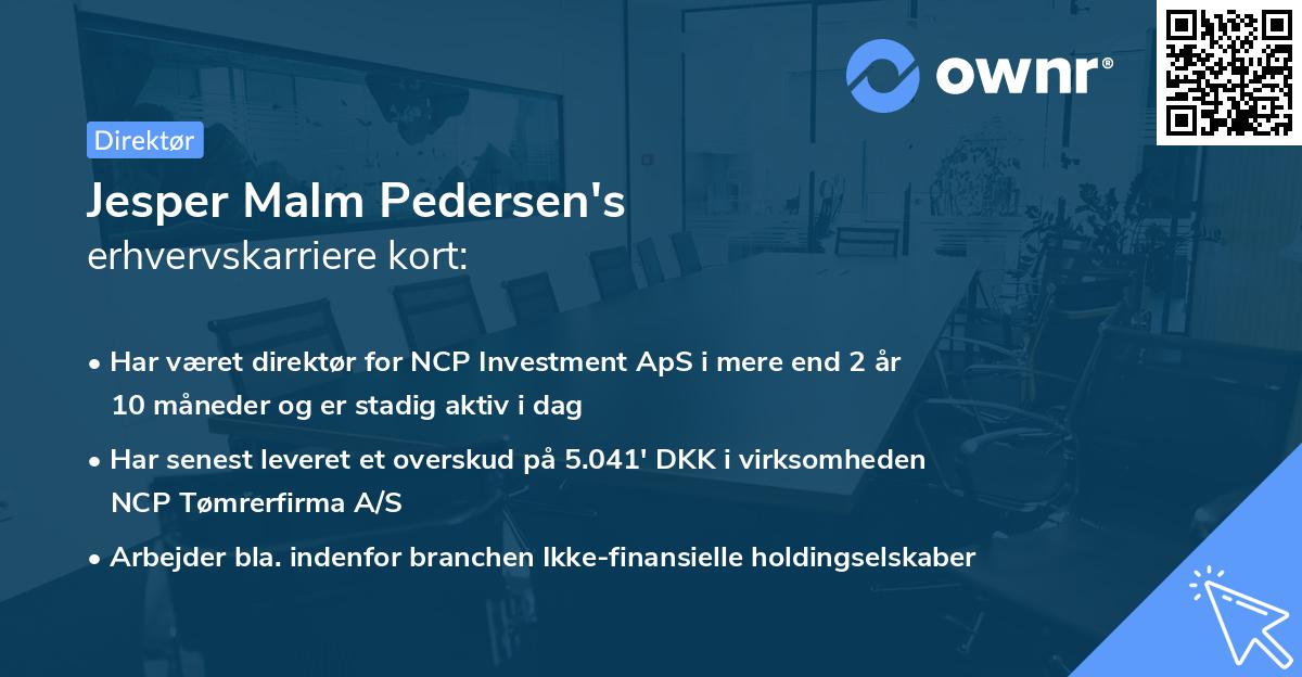 Jesper Malm Pedersen's erhvervskarriere kort