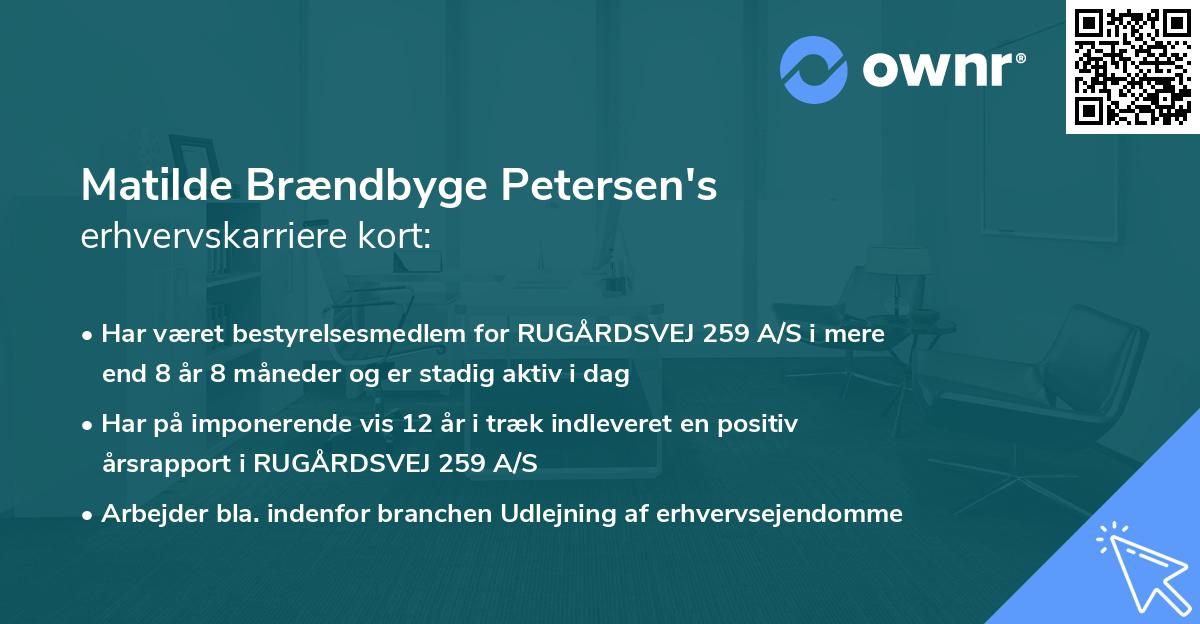 Matilde Brændbyge Petersen's erhvervskarriere kort