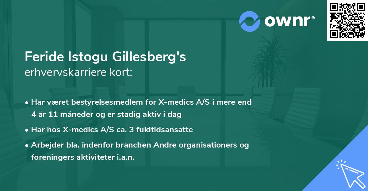 Feride Istogu Gillesberg's erhvervskarriere kort