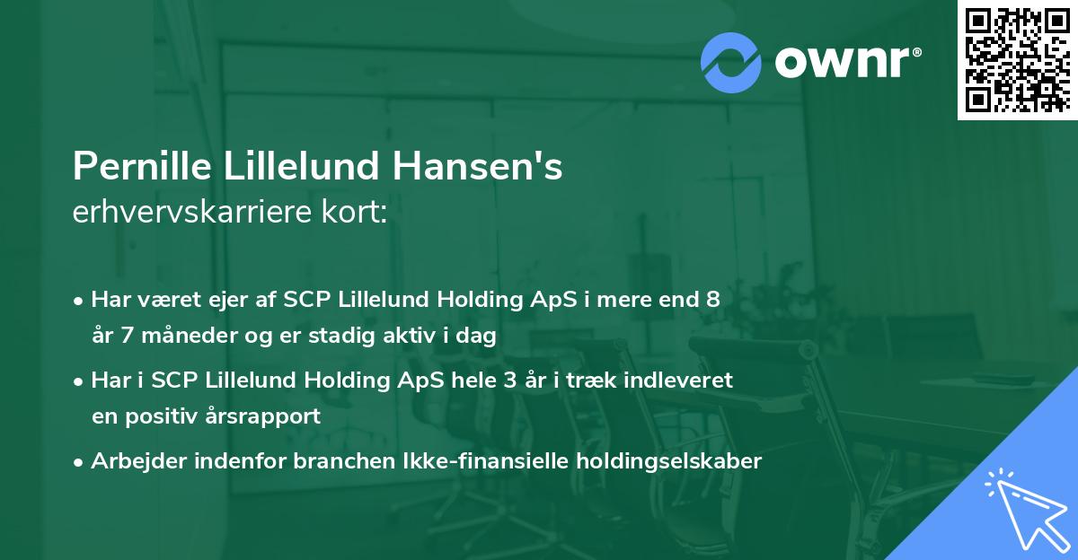 Pernille Lillelund Hansen's erhvervskarriere kort