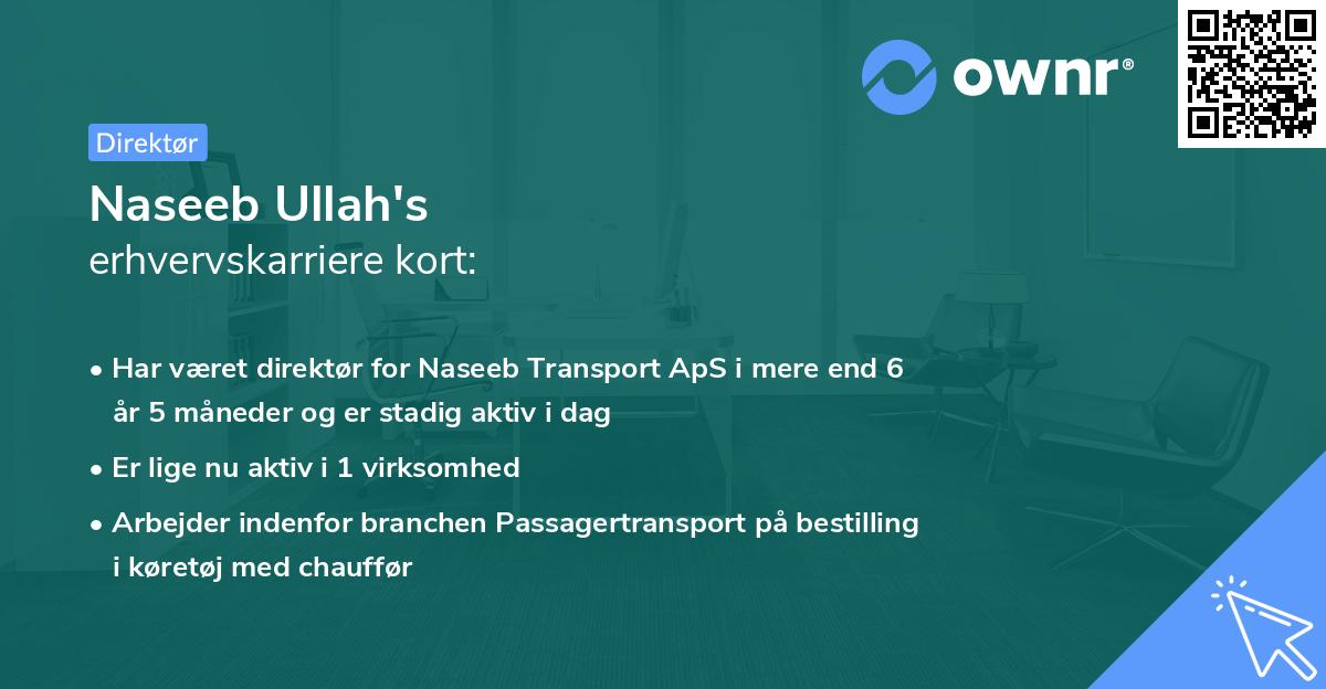 Naseeb Ullah's erhvervskarriere kort