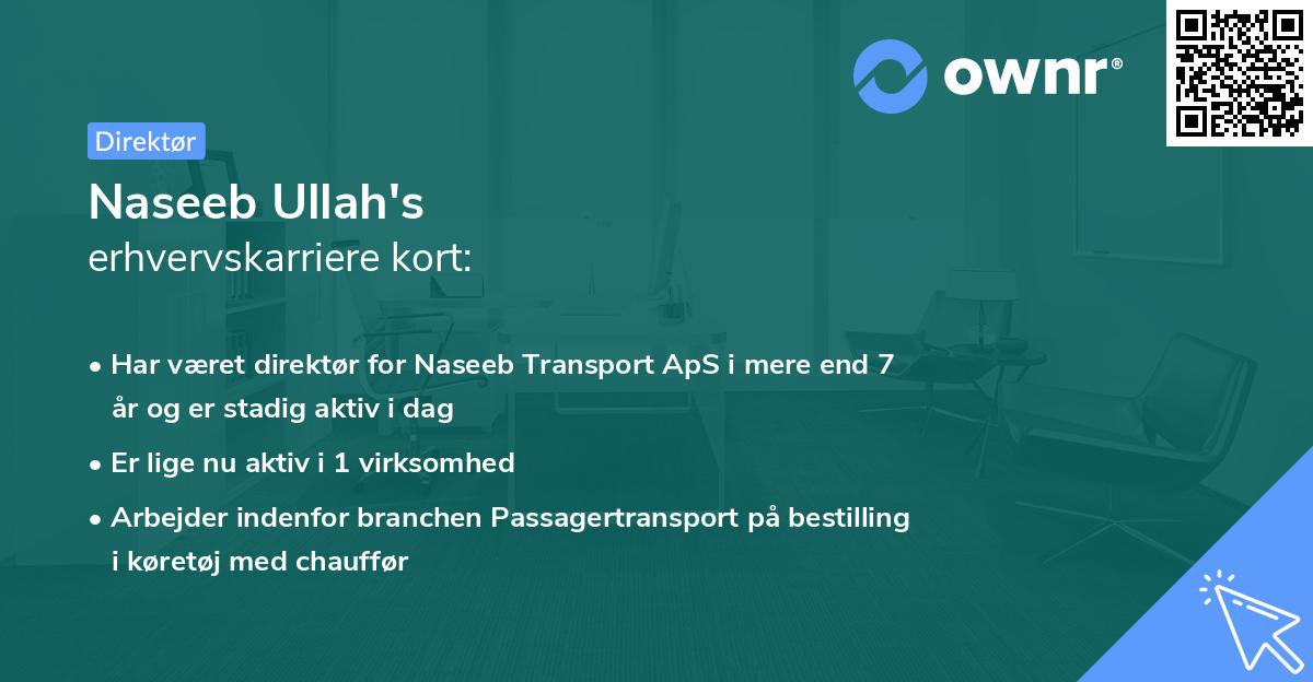 Naseeb Ullah's erhvervskarriere kort