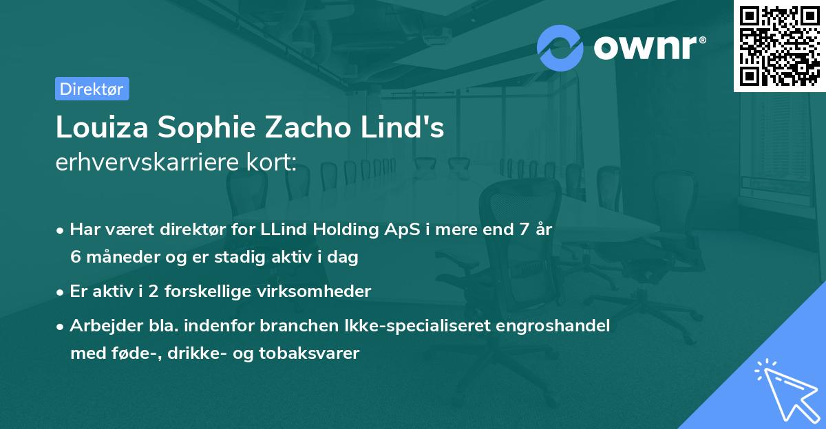 Louiza Sophie Zacho Lind's erhvervskarriere kort