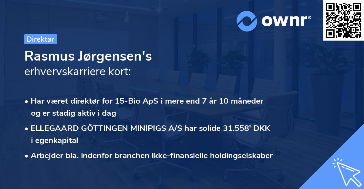 Rasmus Jørgensen's erhvervskarriere kort