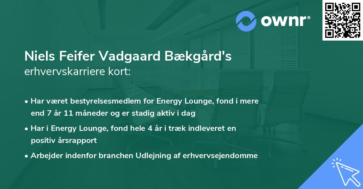 Niels Feifer Vadgaard Bækgård's erhvervskarriere kort