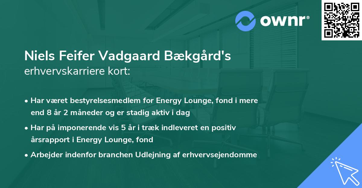 Niels Feifer Vadgaard Bækgård's erhvervskarriere kort