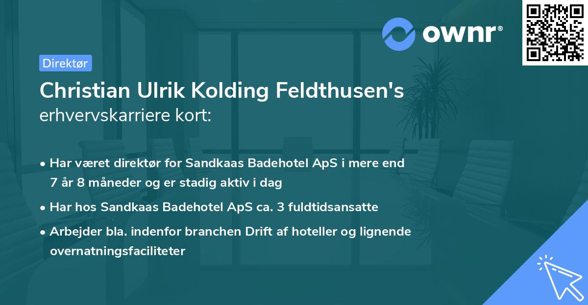 Christian Ulrik Kolding Feldthusen's erhvervskarriere kort