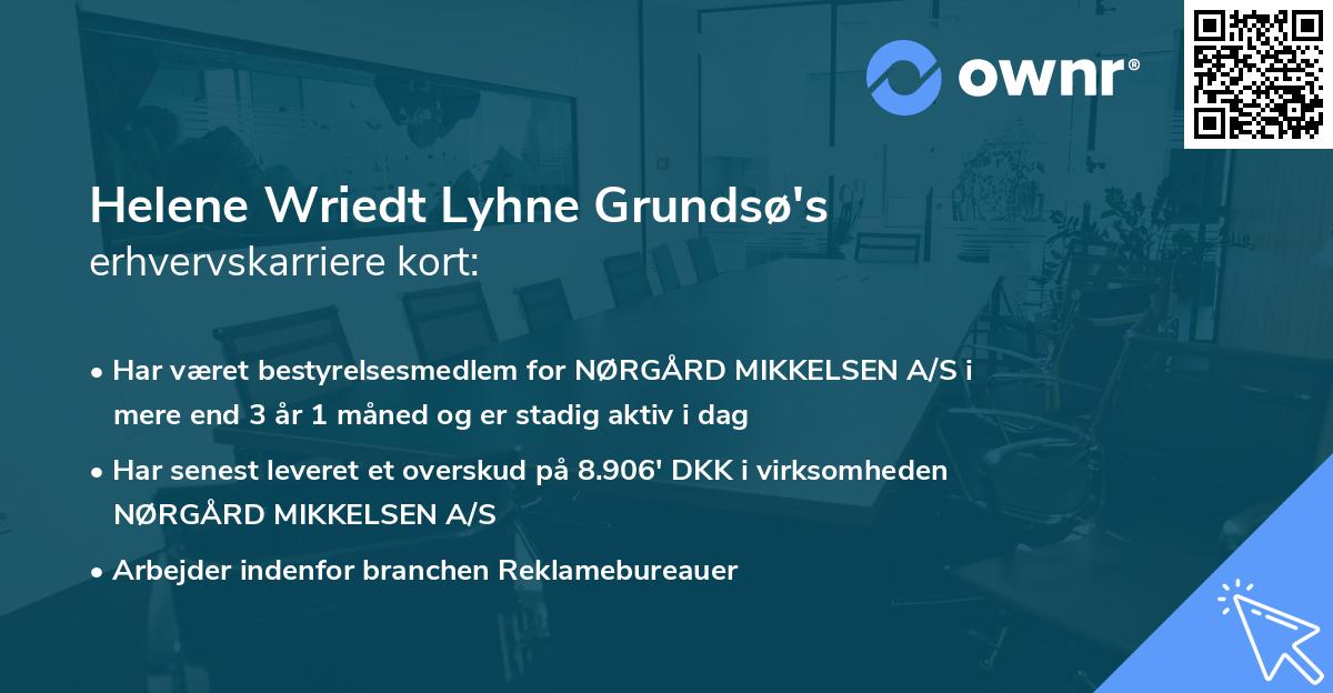 Helene Wriedt Lyhne Grundsø's erhvervskarriere kort