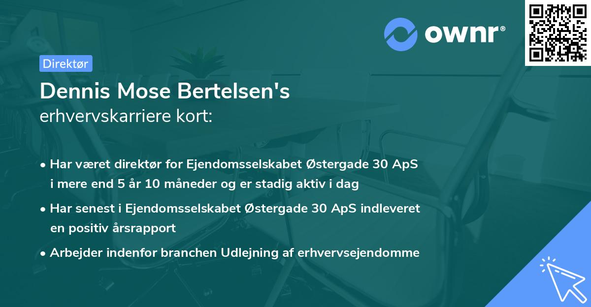 Dennis Mose Bertelsen's erhvervskarriere kort