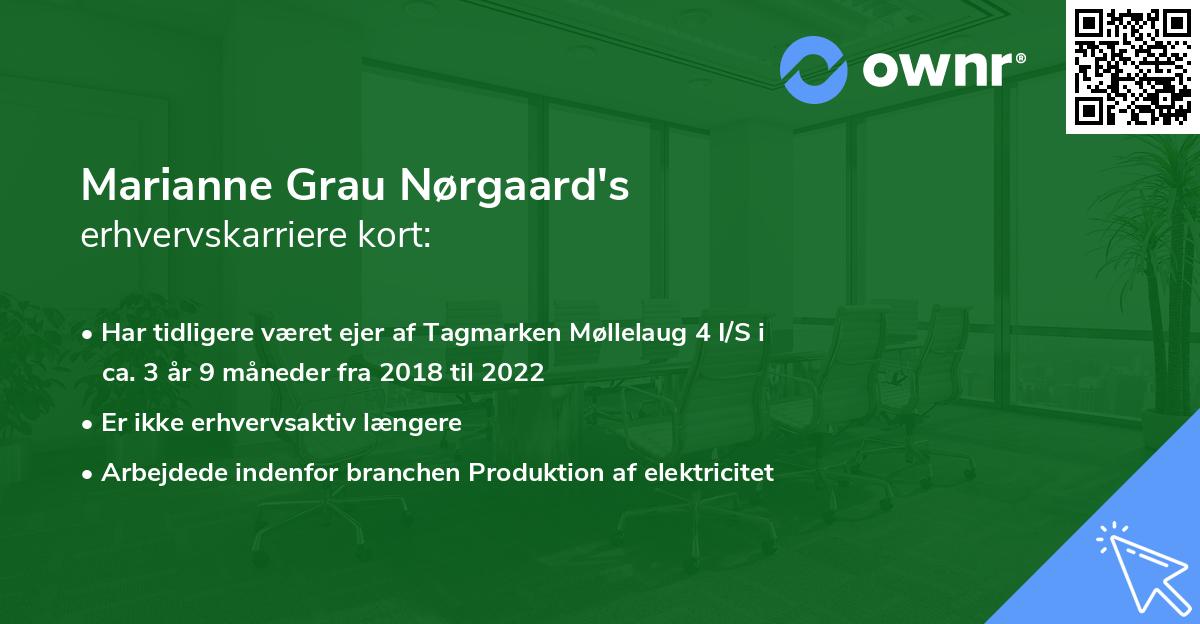 Marianne Grau Nørgaard's erhvervskarriere kort